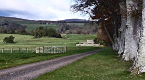 Road to Ochtertyre mausoleum, Crieff