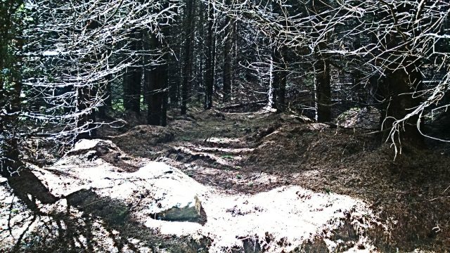 aberfeldy forest