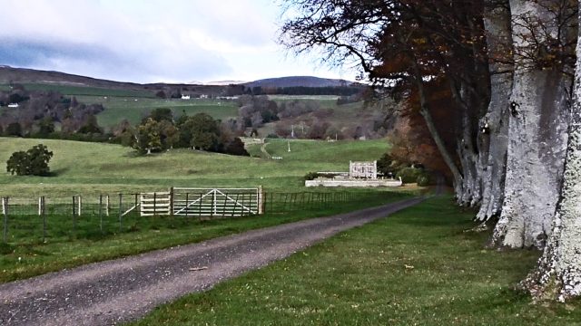 Road to Ochtertyre mausoleum, Crieff